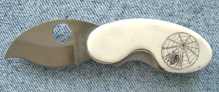 picture of plain edge stainless Cricket with elk horn scale scrimmed with orb weaver and web